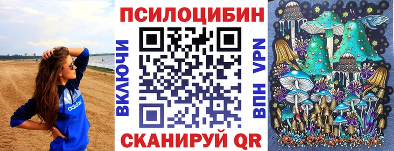 Псилоцибиновые грибы GOLDEN TEACHER  Купить где  Игарка 